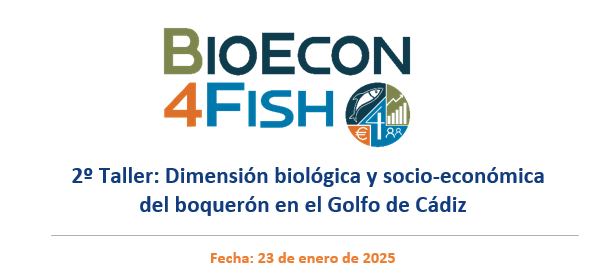 bioecon4fish's tweet photo. Sector, comunidad científica y administración seguimos trabajando juntos por la gestión sostenible del boquerón en el Golfo de Cádiz.
Evolucionamos de #math4fish a #bioecon4fish pero el objetivo común se mantiene. Nos vemos en Isla Cristina para hablar de estrategias de gestión https://t.co/goBjrCzfgK