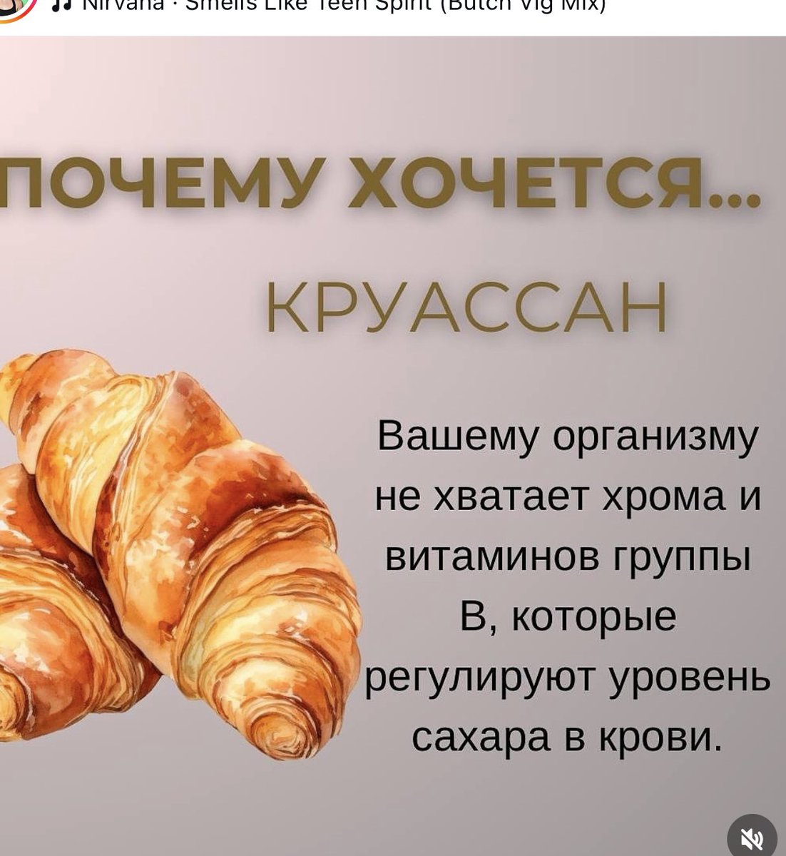 yultsip's tweet photo. нет мне хочется круассан потому что я работаю в пекарне и ну вы когда-нибудь пробовали круассан который только только сделан из печи на самом нужном масле самым умеющим делать круассаны человеком??? https://t.co/m231un9EKT