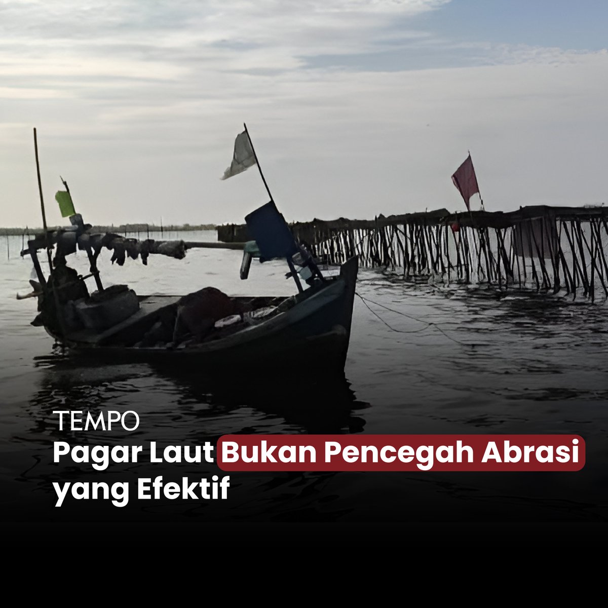 tempodotco's tweet image. Jaringan Rakyat Pantura (JRP) mengklaim membangun pagar laut secara swadaya sepanjang 30,16 kilometer di perairan Tangerang untuk mencegah abrasi.

#tempodotco #tempo #pagar #laut #sabuk #pantai