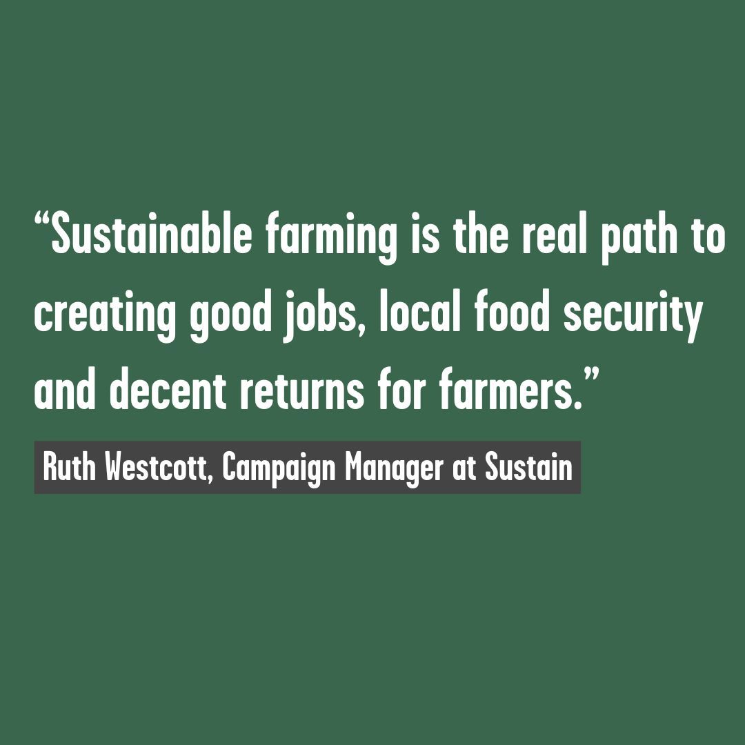 🚨 1 week left to take action to stop a megafarm which is hiding its colossal climate impact 

Cranswick plans to build one of Europe’s largest factory farms, yet chose not to include greenhouse gas emissions in its planning application 🏭🌍 

Act now 👉 buff.ly/4f2qISl