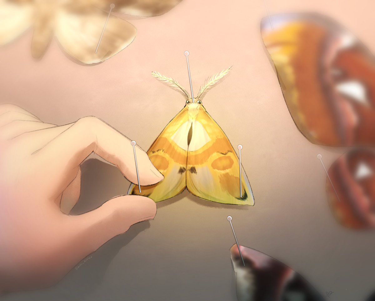 Samuel 🍉 tweet media