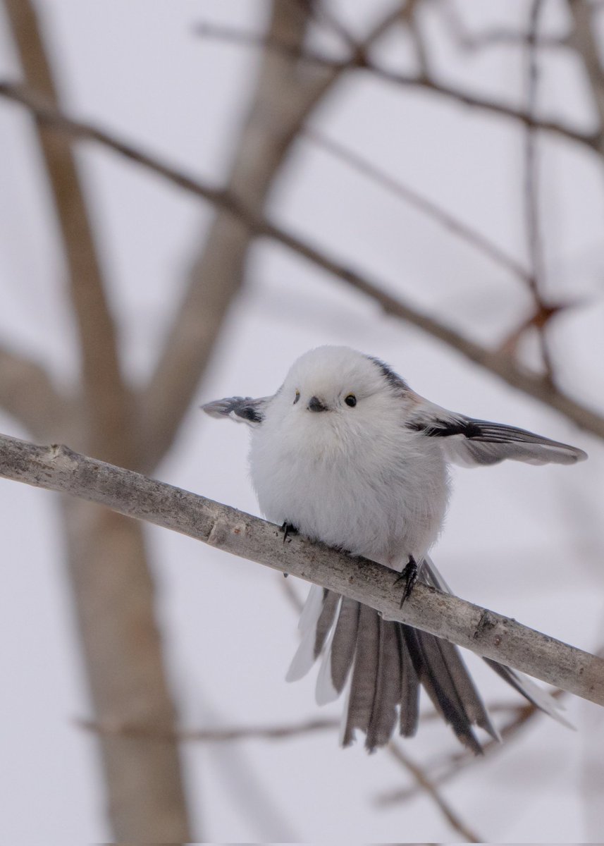 tomo〜年中シマ活中〜 (@tomo_Z6II) / Posts / X