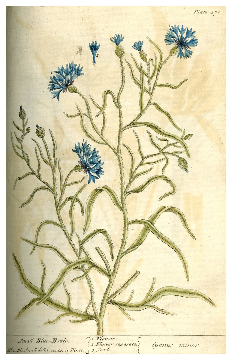 Newcastle Uni Special Collections & Archives tweet media