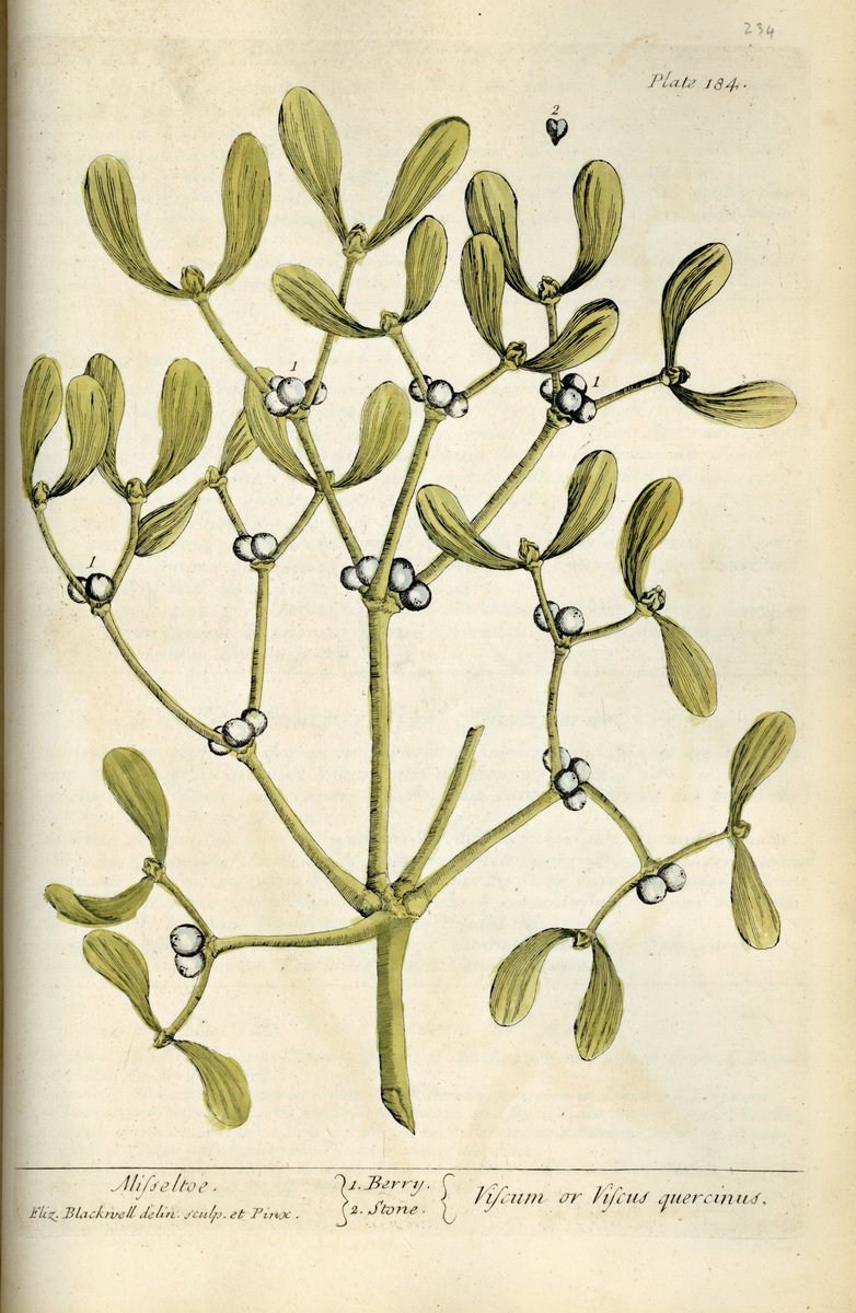 Newcastle Uni Special Collections & Archives tweet media