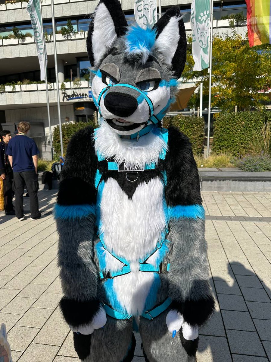 What da dog doin'?

#FursuitFriday
📷: <a href="/VutieDeer/">Vutie @FWA AWOO MP</a>