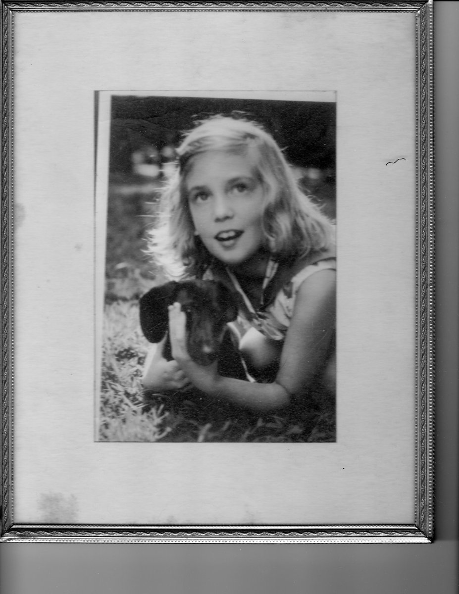 Carolyn C 📚🐈‍⬛⚕️⚖️🧑🏻‍🚀💜🎶⁷ tweet media