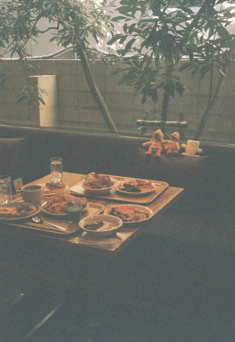 絹笠奈桜子 tweet media