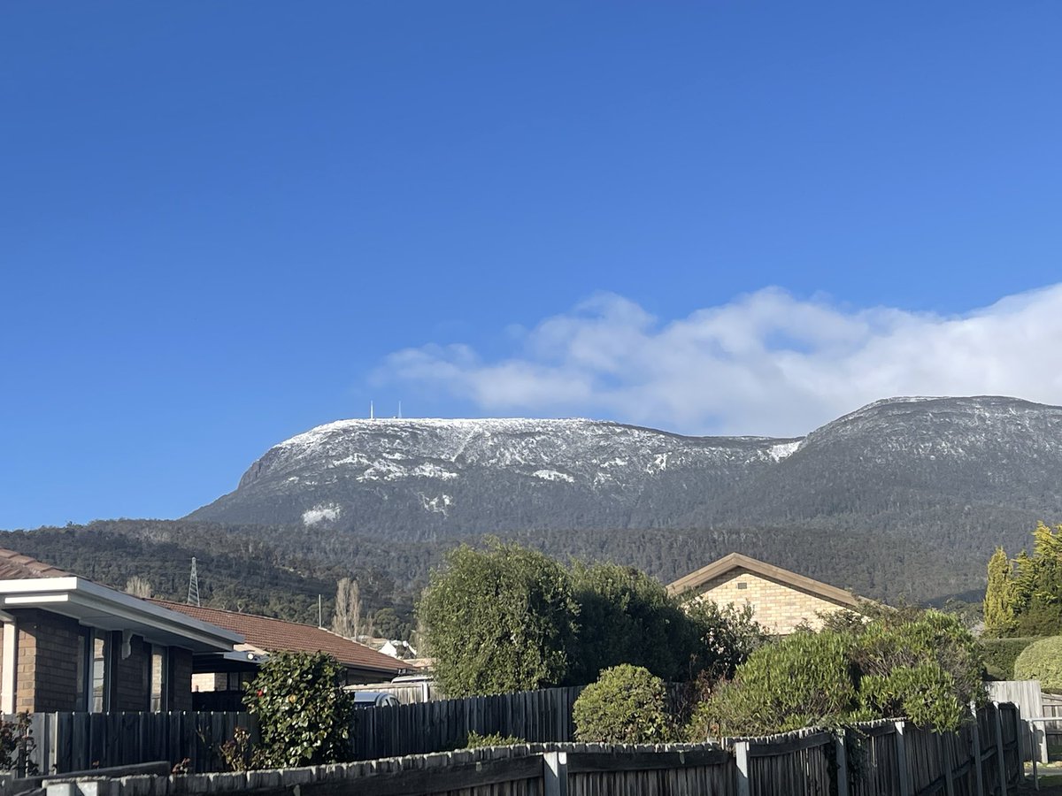 Andree Poppleton tweet media