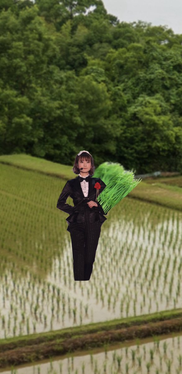 INFO_shikaco's tweet photo. 🙌🏻🍙🎂🎉💚🌾🍚🙌🏻 https://t.co/HBjWimHki2