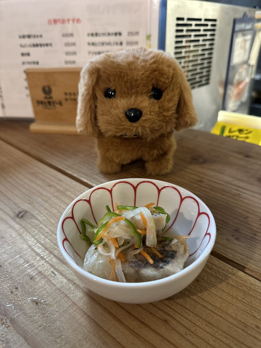 red_elmon's tweet photo. 今日の晩ごはん🍚
隠れ立ち飲み
#晩ごはん #withdog #生野区 https://t.co/HBjXf23DuT