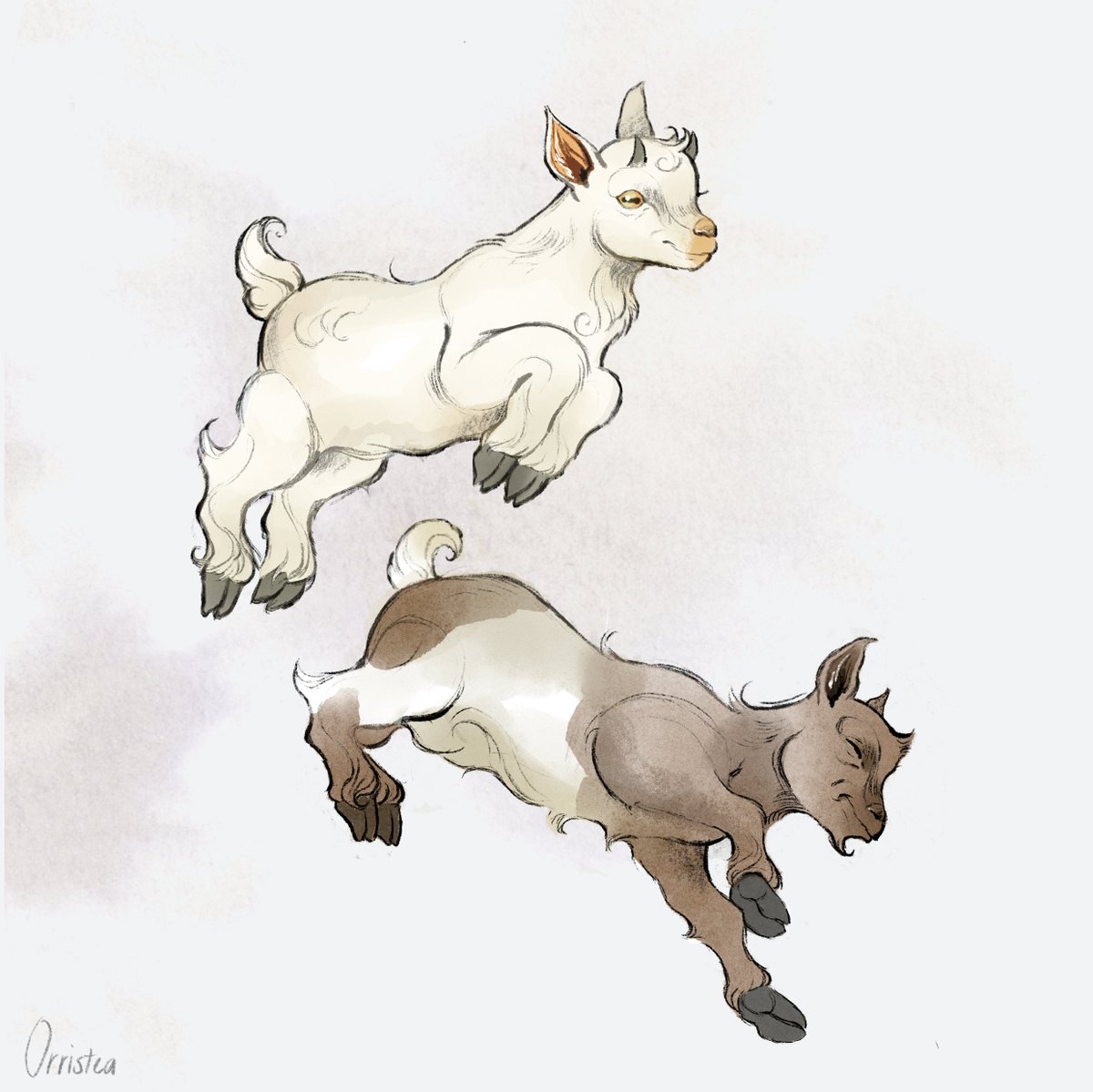 OrrisTea's tweet photo. Social media has done nothing but recommend me videos of mountain goats jumping around lately and im not complaining #babygoats #illustration https://t.co/Vkq58HCNFo