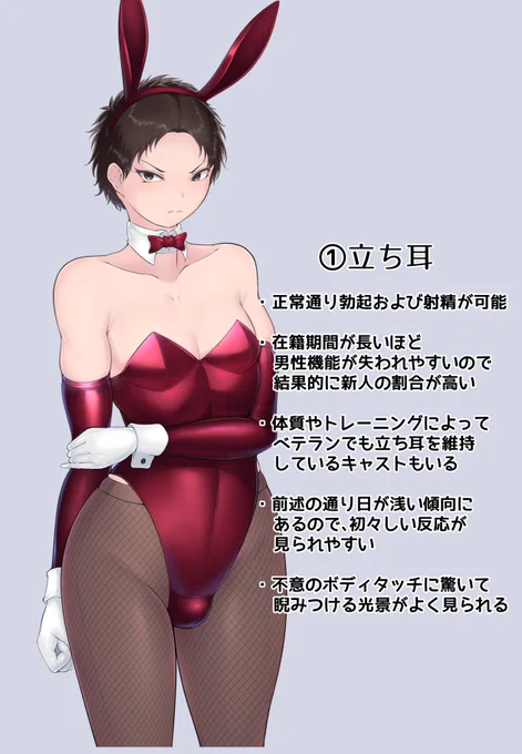 バニーまとめ 