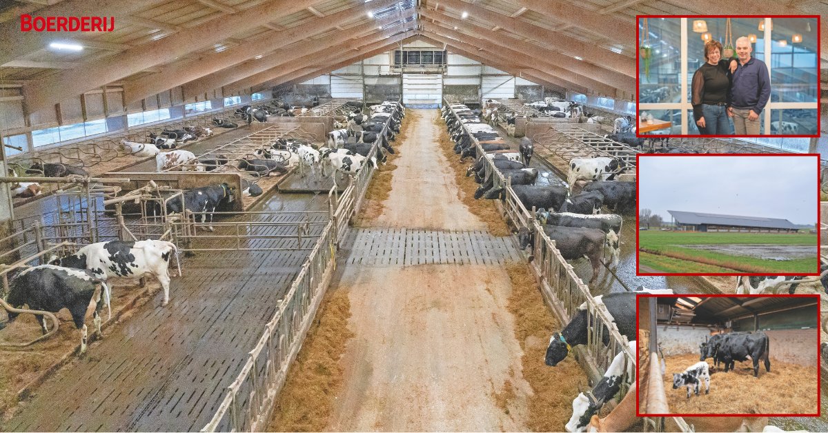 Boerderij_nl's tweet image. Hermen en Leanne Spans melken hun biologische #melkveekoppel op twee locaties en met twee verschillende melksystemen. Thuis staat een #melkrobot, op de tweede locatie een #swingover.
boerderij.nl/ervaring/thuis…