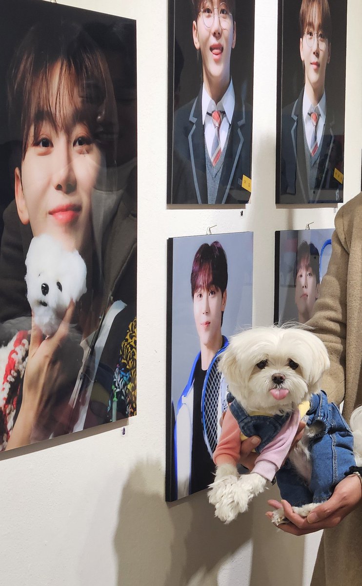 minghaocheol_ tweet picture