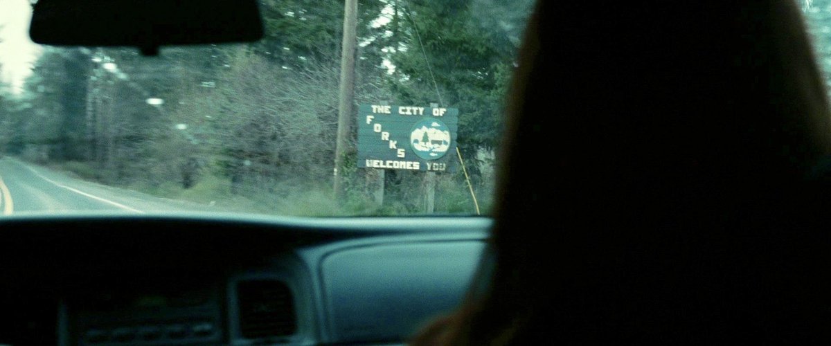 bellaxkristen's tweet photo. On january 17th of 2005, Bella Swan moves to Forks, Washington. ✨ 

It’s been 20 years. 💚🌲
twilight, you’re forever in my mind https://t.co/CM5b6CzaTJ