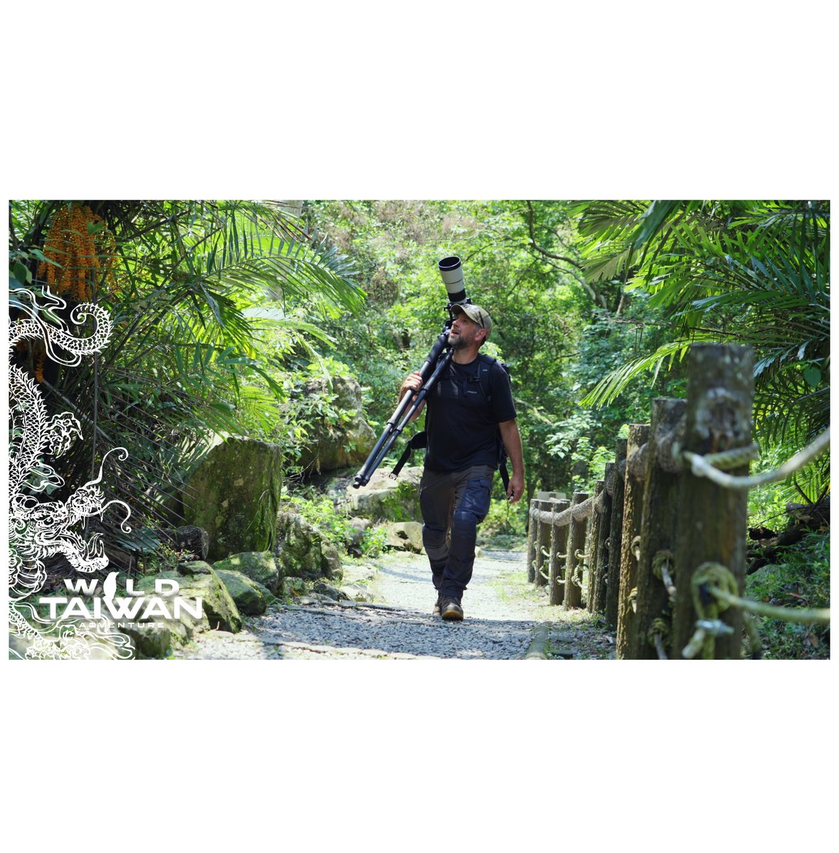 SimonJMcCabe's tweet photo. Clocking the steps! Defo burnt a few calories this climb.

Wild Taiwan Adventure
OUT NOW on my YouTube channel.

#WildlifePhotography, #NaturePhotography, #WildlifeLovers, #NatureLovers #WildlifeShots https://t.co/yrVM6CZqN5