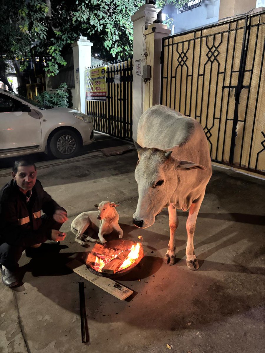 Just a random pic I took....

A cow, human and a dog , trying to stay warm in this cold weather.