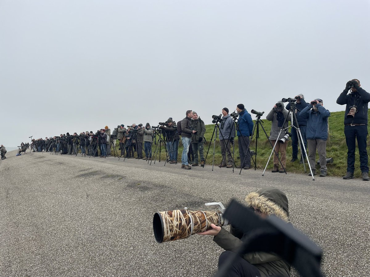 Garry Bagnell tweet media