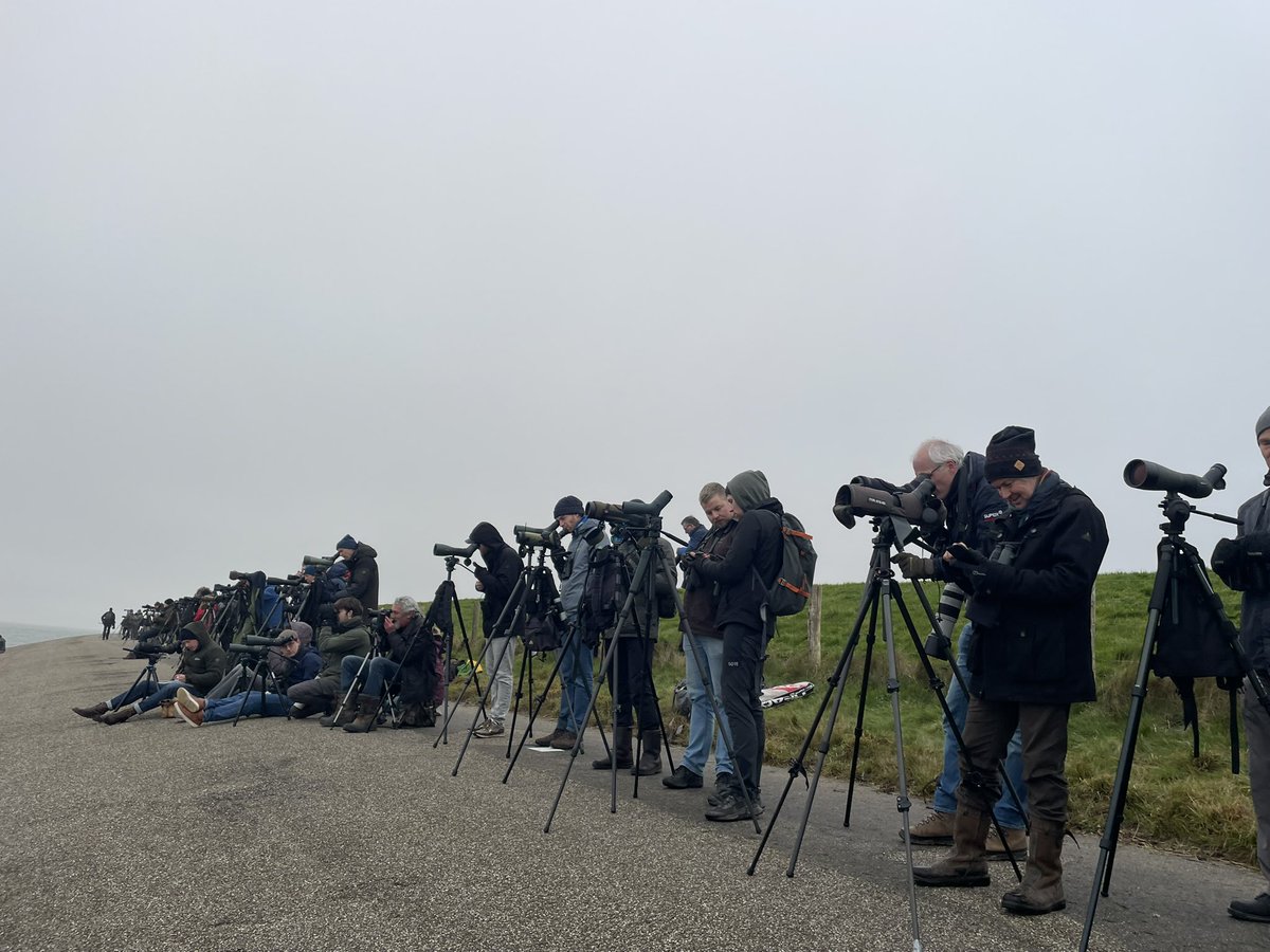 Garry Bagnell tweet media