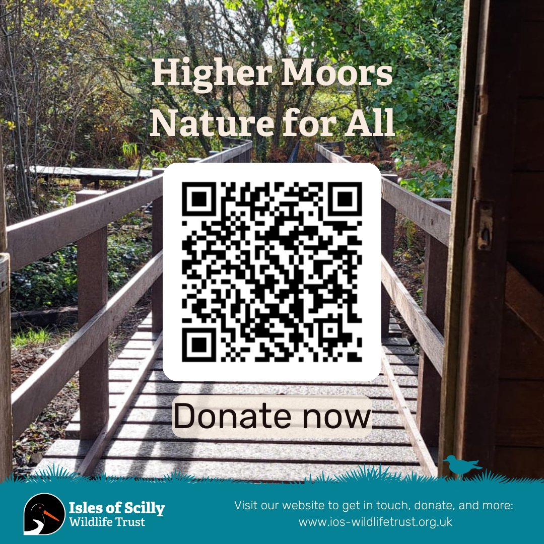 Help us reach our goal of £5,000 in our Nature for All Appeal 🧑‍🦼🧑‍🦯 🧍

So far you've helped us raise £2144! We're 43% of the way to our target with 17 days left to go ⏰ 📆

Find out more about this project and donate now: ios-wildlifetrust.org.uk/appeals/higher…