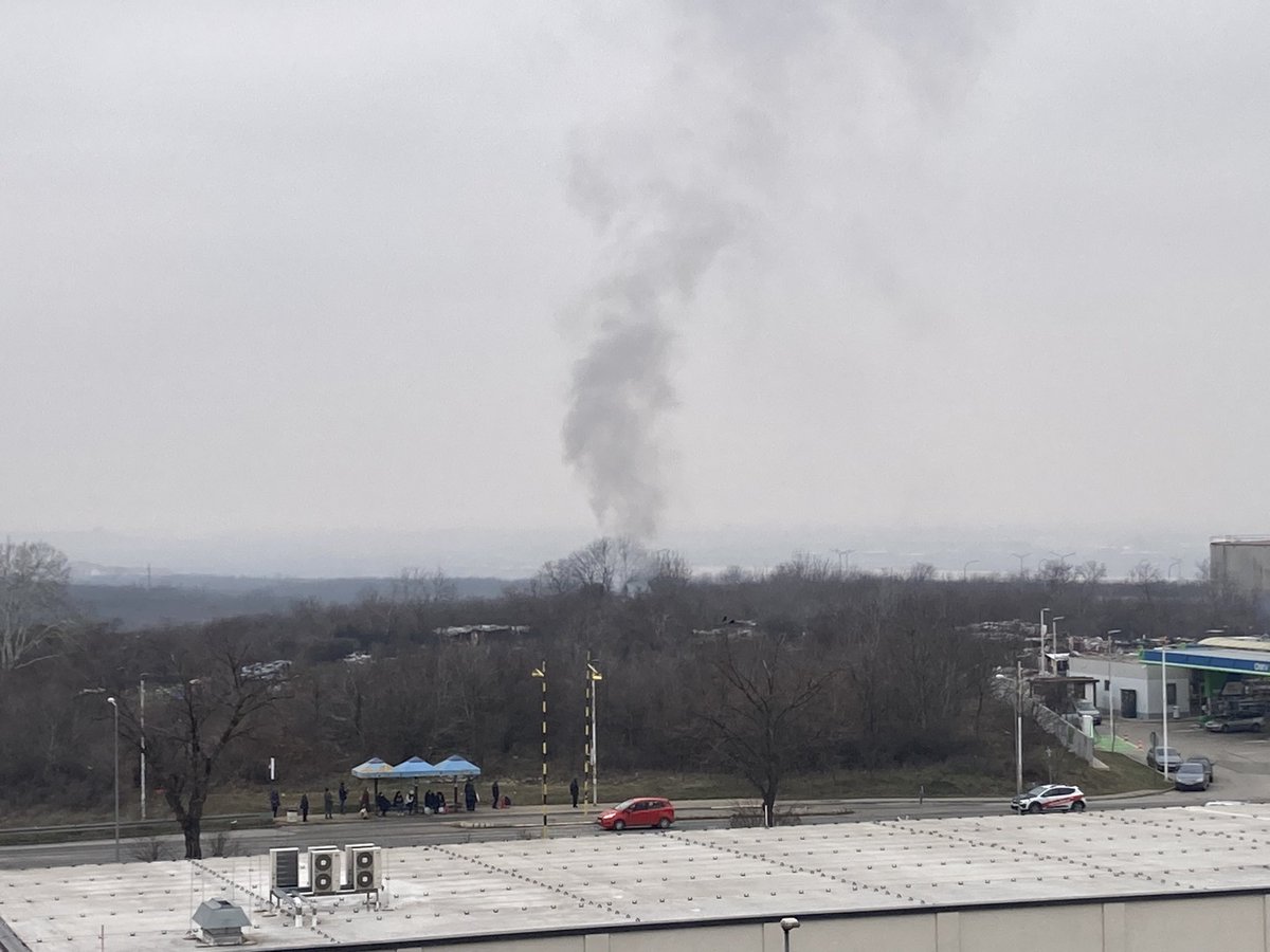 Peđa Vučetić tweet media