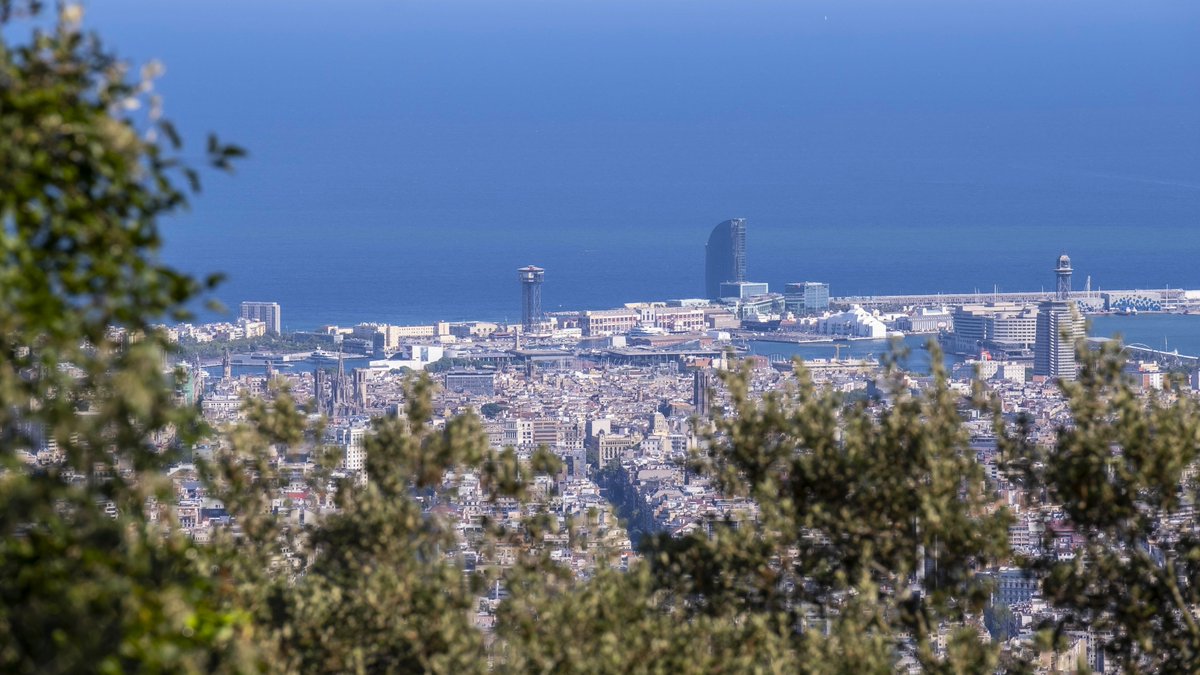 Barcelona des del Tibidabo 💙

(Us trobem a faltar 🥺)

#Tibidabo #Barcelona