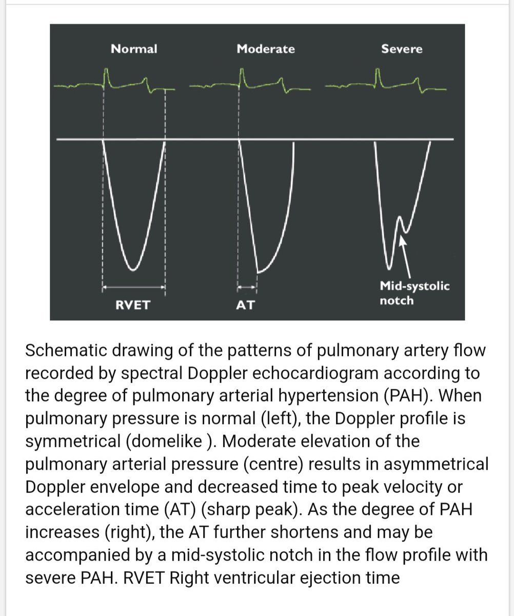 Ahmed Ata tweet media