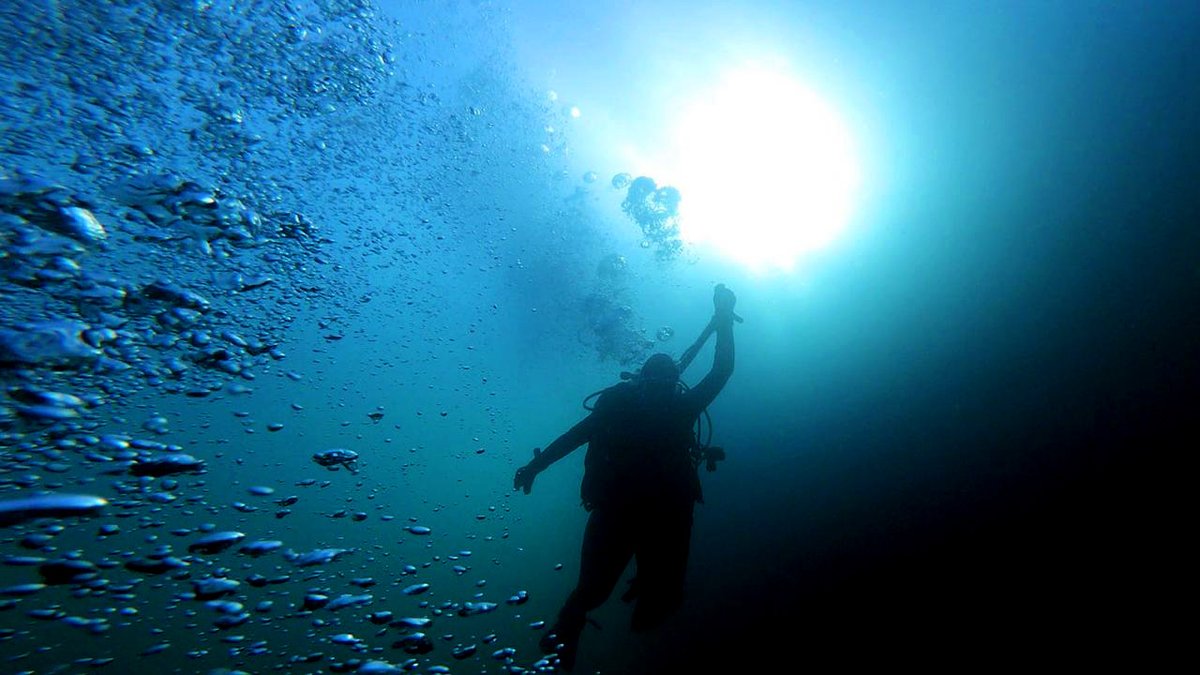 University launches world-first masters to combine expedition and diving medicine 🤿🩺
plymouth.ac.uk/news/world-fir…