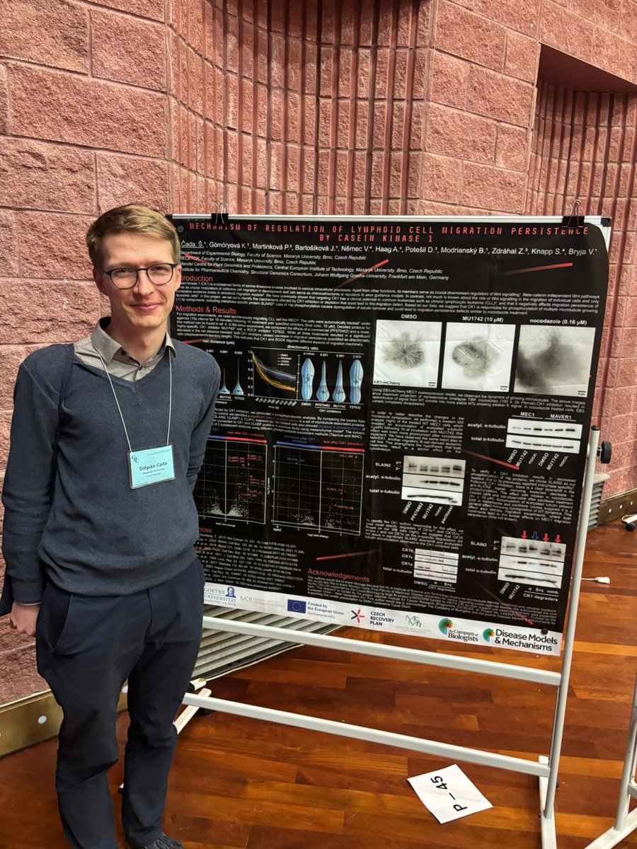 Bryjalab (@bryjalab) on Twitter photo Our brilliant PhD student <a href="/cada_stepan/">Lymphoid Boi</a> had a fantastic time at the Directed Cell Migration <a href="/GordonConf/">Gordon Research Conferences</a>, where he presented his work on lymphoid cell migration and CK1.🥳 We’d like to thank <a href="/DMM_Journal/">DMM Journal</a> for supporting him with a travel grant! 🤗 Our brilliant PhD student <a href="/cada_stepan/">Lymphoid Boi</a> had a fantastic time at the Directed Cell Migration <a href="/GordonConf/">Gordon Research Conferences</a>, where he presented his work on lymphoid cell migration and CK1.🥳 We’d like to thank <a href="/DMM_Journal/">DMM Journal</a> for supporting him with a travel grant! 🤗