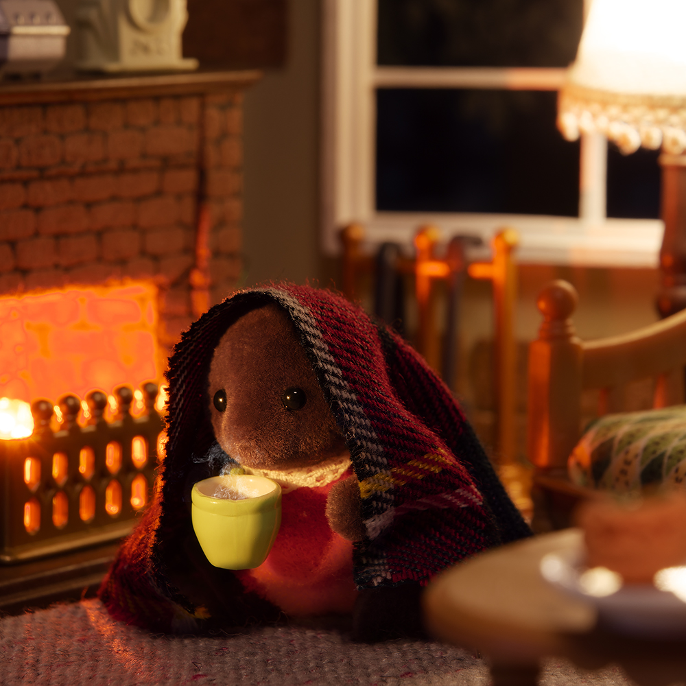 「きょうも、さむいな～」

モグラのムーはとっても寒がり❄

暖炉の前でブランケットにくるまって、ホットミルクを飲むのがお気に入りです✨

ホットミルクで、体も心も温まりそうですね♪

#シルバニアファミリー #シルバニア
#暖炉 #ブランケット #ホットミルク #シルバニア赤ちゃん