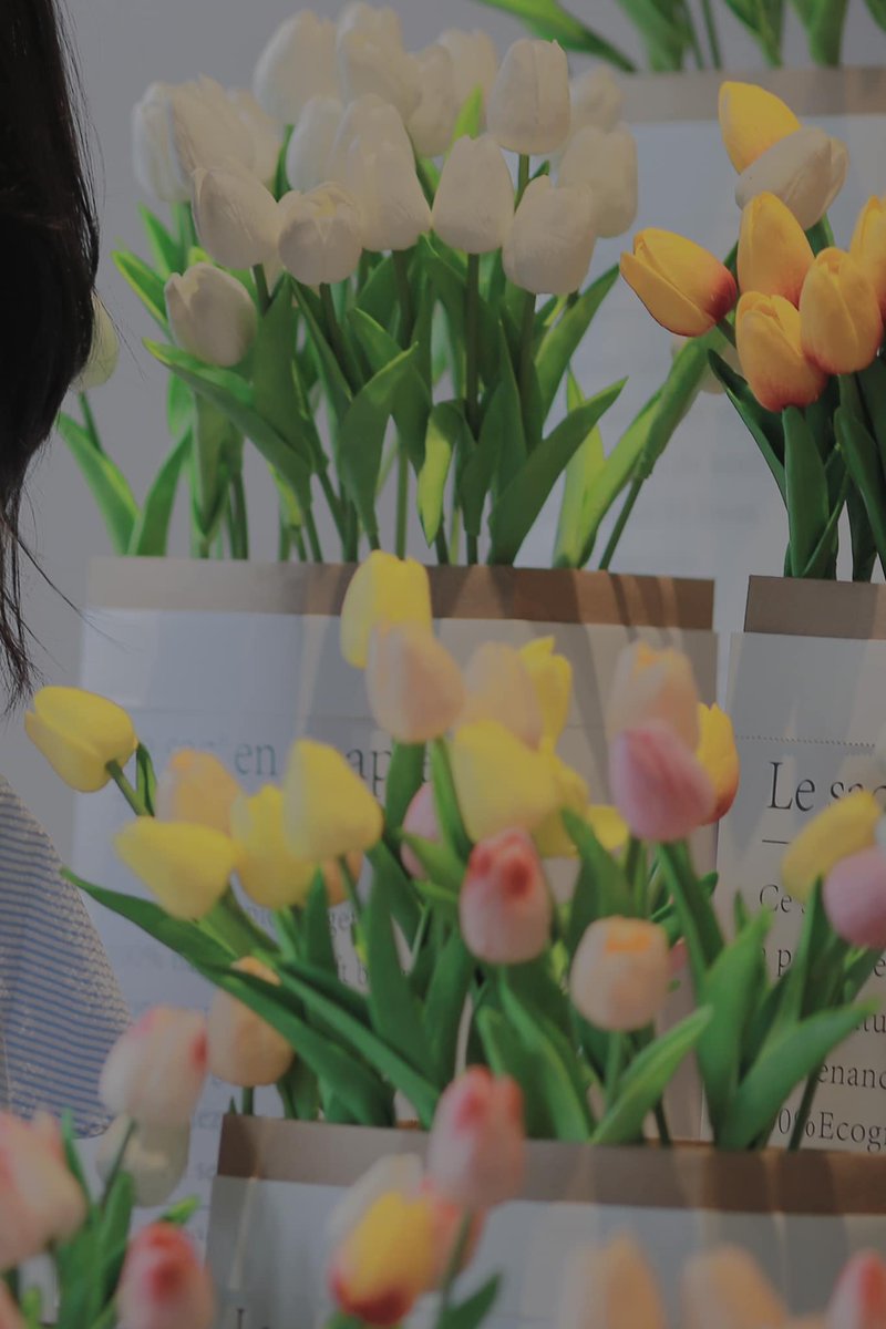 Your content exchange platform is a gem for readers. Thank you! What an insightful article! It provided a wealth of information on the topic. Lyle Goltz