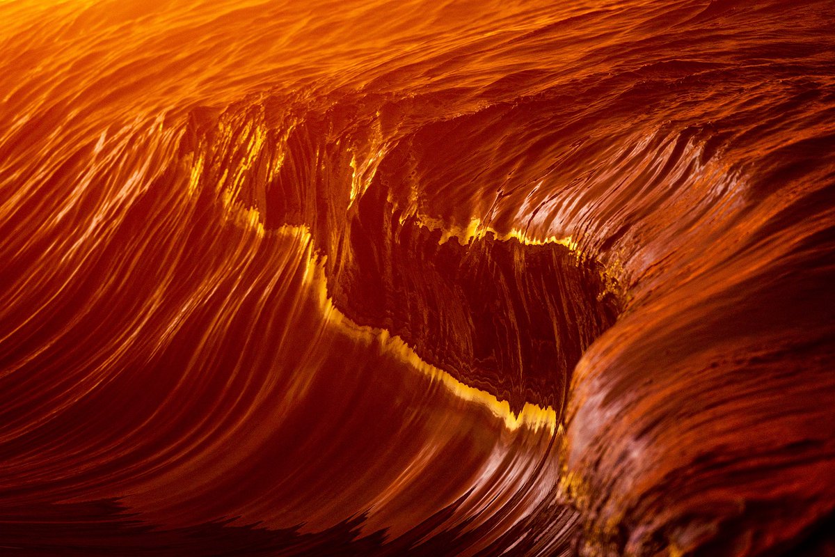 Kim Feast tweet media