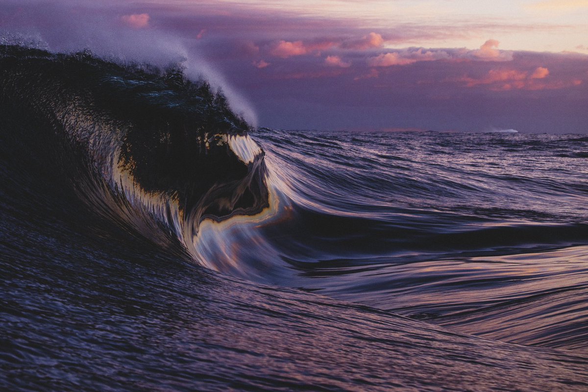 Kim Feast tweet media