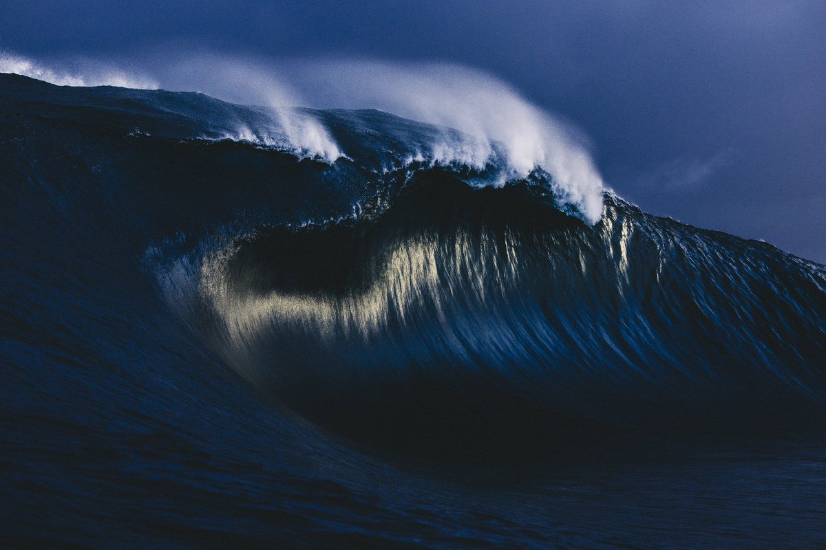 Kim Feast tweet media