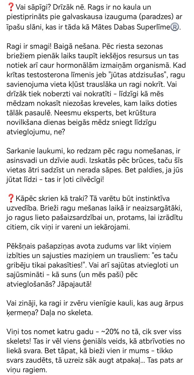 Zootēka tweet media