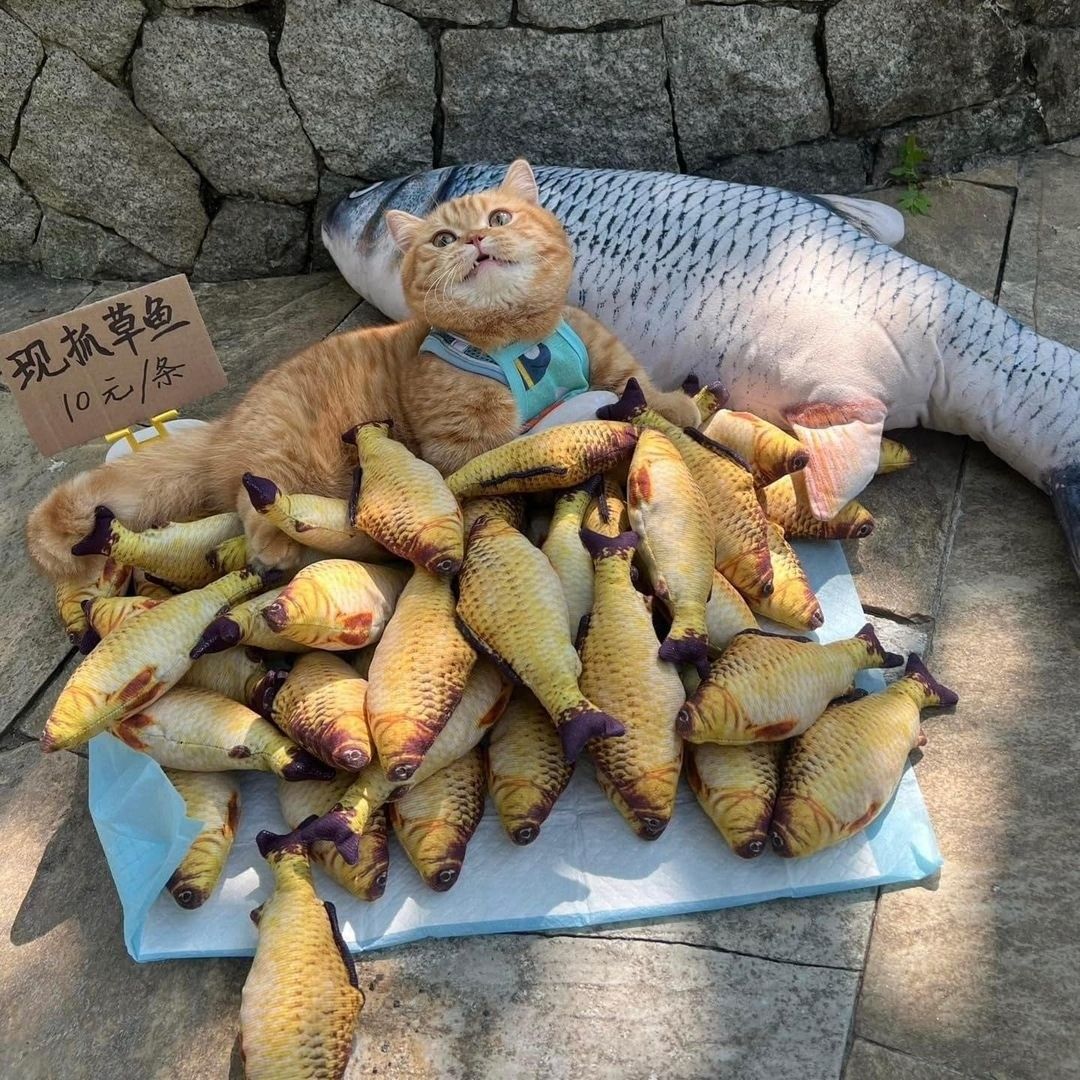 cats with jobs 🛠 tweet media