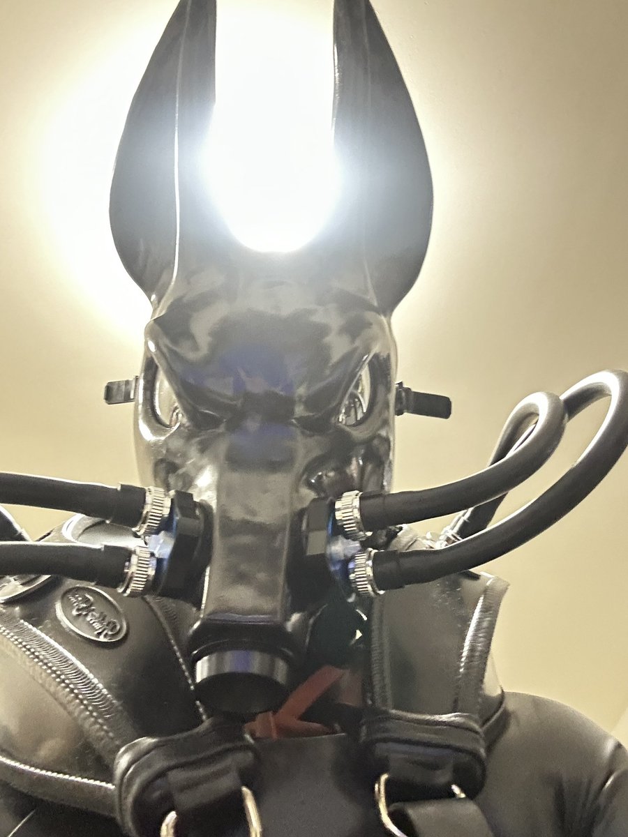 憧れのスタイルに近づきたい•••