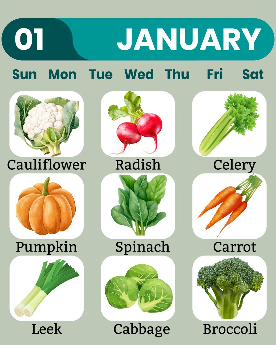 MoreMedDiet's tweet photo. 🍎🥦 Seasonal fruits and vegetables are essential for maintaining a sustainable and nutrient-rich diet. 🍊💚 January's product offers a range of health benefits, promoting immunity and overall wellness while supporting environmental sustainability. https://t.co/ylHYbs8uxm