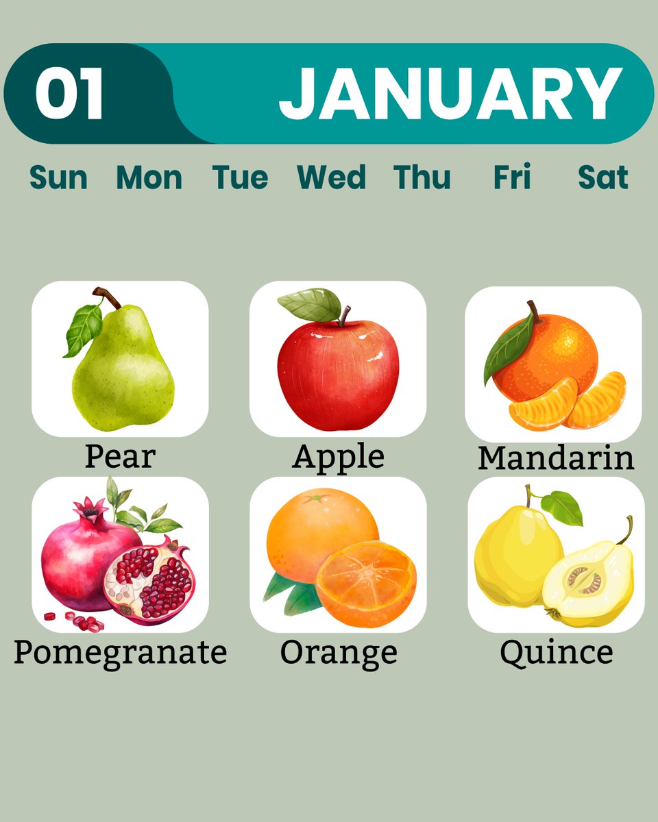 MoreMedDiet's tweet photo. 🍎🥦 Seasonal fruits and vegetables are essential for maintaining a sustainable and nutrient-rich diet. 🍊💚 January's product offers a range of health benefits, promoting immunity and overall wellness while supporting environmental sustainability. https://t.co/ylHYbs8uxm