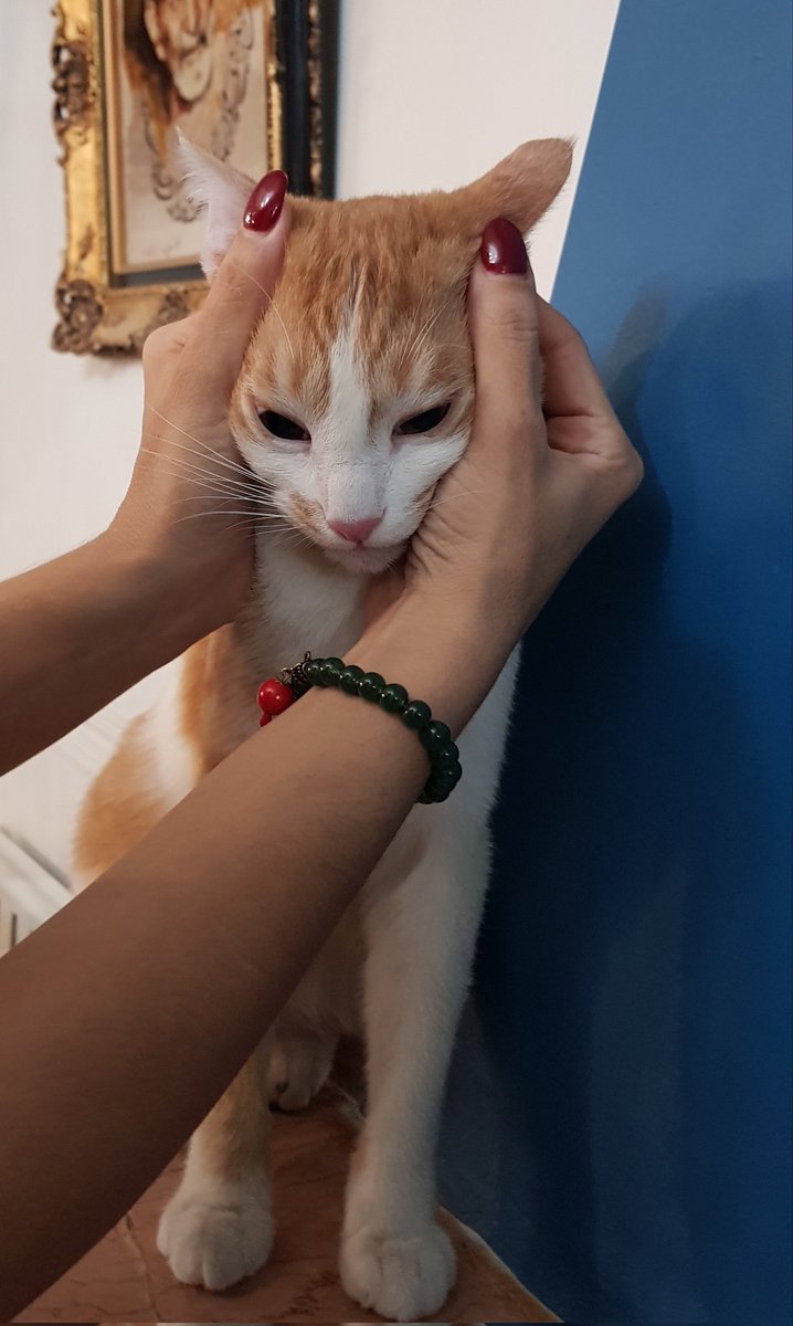 Empra (@empera9000) on Twitter photo 