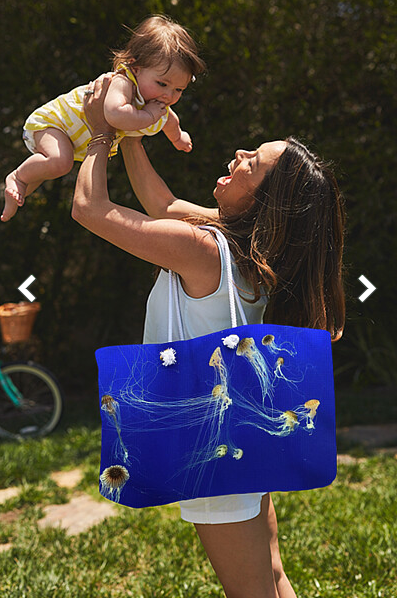 iobjournal@sicb.org tweet media