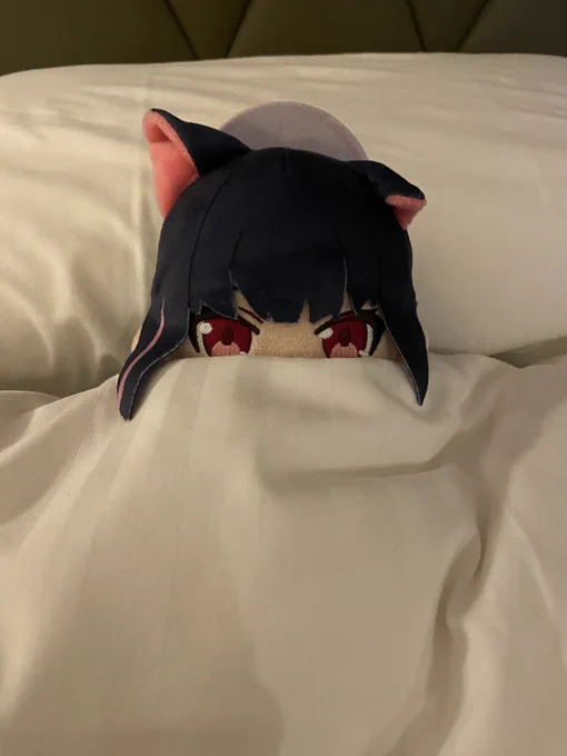 カズサぬくぬく