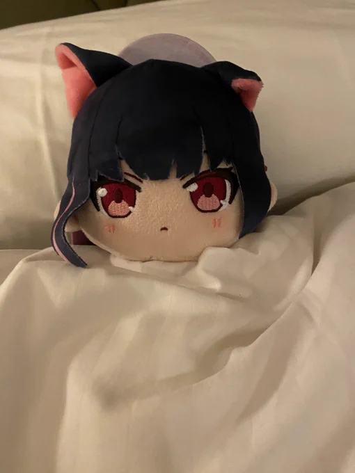 カズサぬくぬく