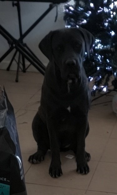 Athena_GoddessA 🥇 tweet media