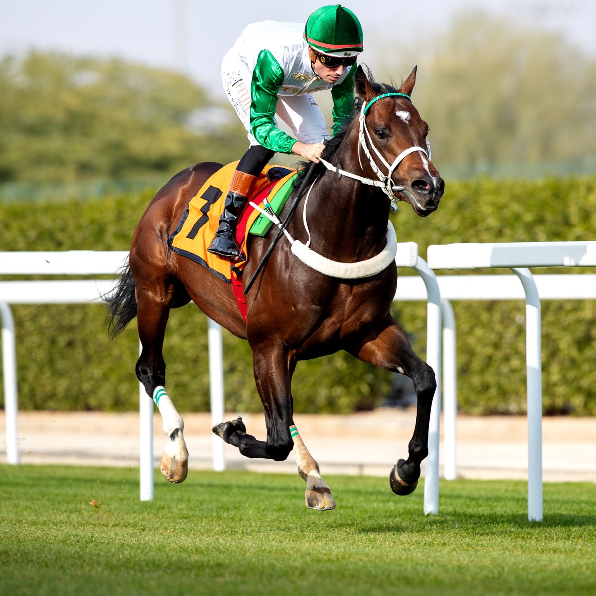 JockeyClubSA_EN's tweet photo. Perfect start for @RicardoSousaFe! 

#SaudiRacing | #RiyadhSeason https://t.co/Mbhx4dDD9a