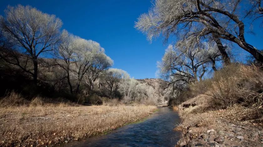 MEdwardsWrites's tweet image. Is growth worth draining the wells?

"OK, they just designated an AMA in Willcox, and that's because the big farmers are coming in and pumping the aquifer unmercifully, people's wells, individuals wells are drying up all over the place." -@tonydavis987 to @kjzzphoenix 

#AZWater