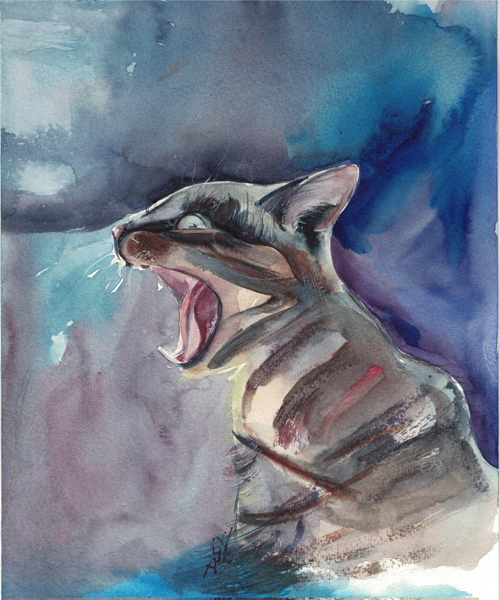 Max #watercolour #watercolor #cat