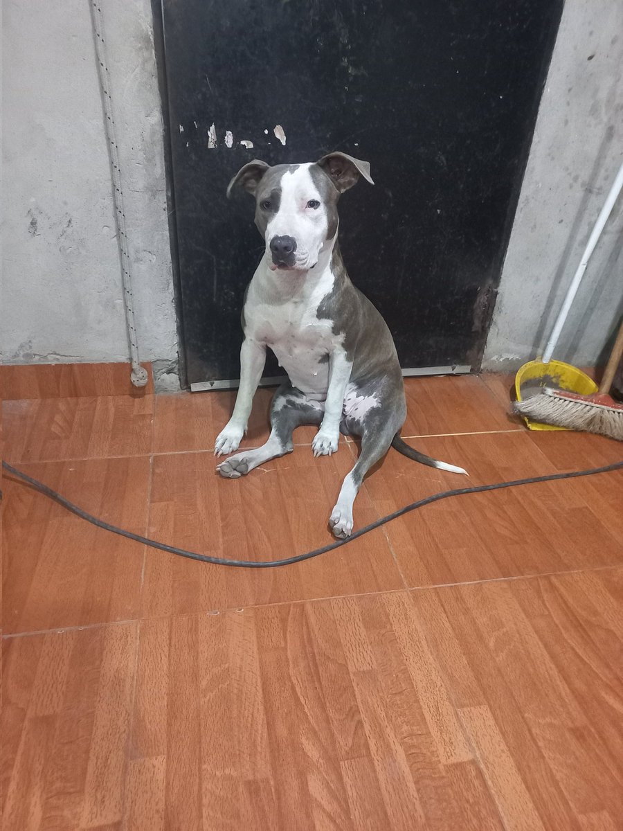 #AntesQueNadie  Ofelia es ella