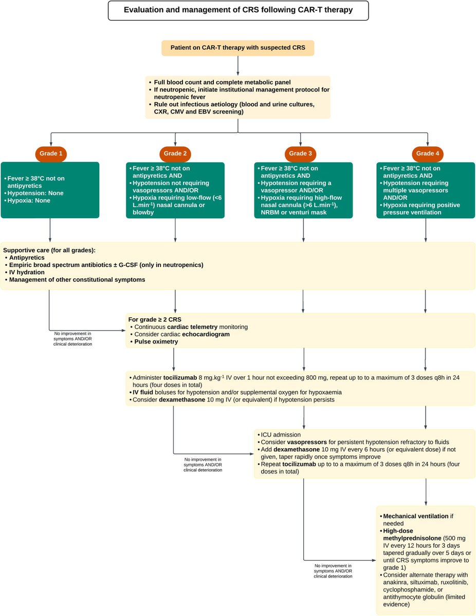 Management of cytokine release syndrome (CRS) and cardiotoxicity due to chimeric antigen receptor T-cell (CAR-T) therapy. 

#anaesthesia #healthcare #medicine #oncology

buff.ly/40ATqW9