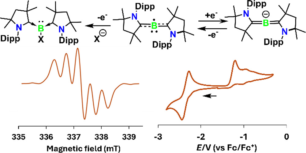 Boron-Chem-Research (@boron_chemistry) on Twitter photo Ambient Temperature Isolation of a Monatomic Boron(0) Complex (<a href="/J_A_C_S/">J. Am. Chem. Soc.</a>): pubs.acs.org/doi/10.1021/ja… (<a href="/Pranckevicius_/">Pranckevicius Group</a>). Ambient Temperature Isolation of a Monatomic Boron(0) Complex (<a href="/J_A_C_S/">J. Am. Chem. Soc.</a>): pubs.acs.org/doi/10.1021/ja… (<a href="/Pranckevicius_/">Pranckevicius Group</a>).
